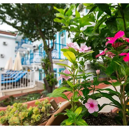 Hotel Mavi Yaprak *