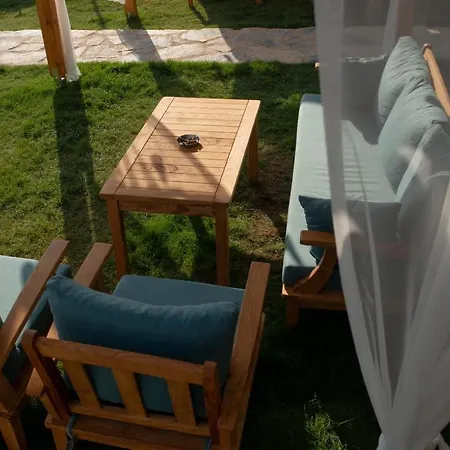 Mavi Yaprak 올루데니스