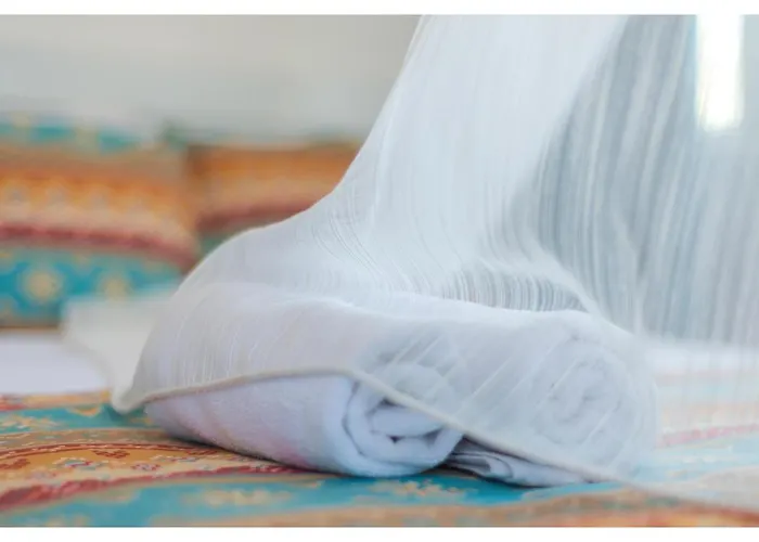 Mavi Yaprak מלון *