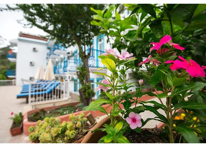 מלון Mavi Yaprak *